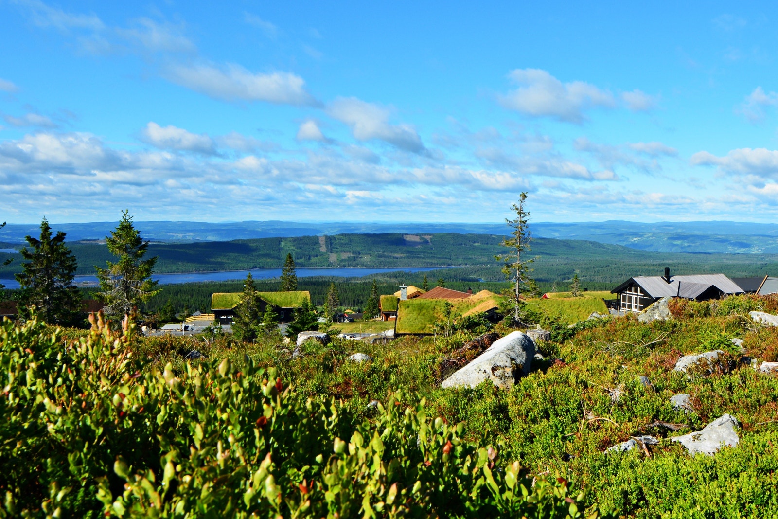 Flotte turområder rett utenfor døren. Galleribilde