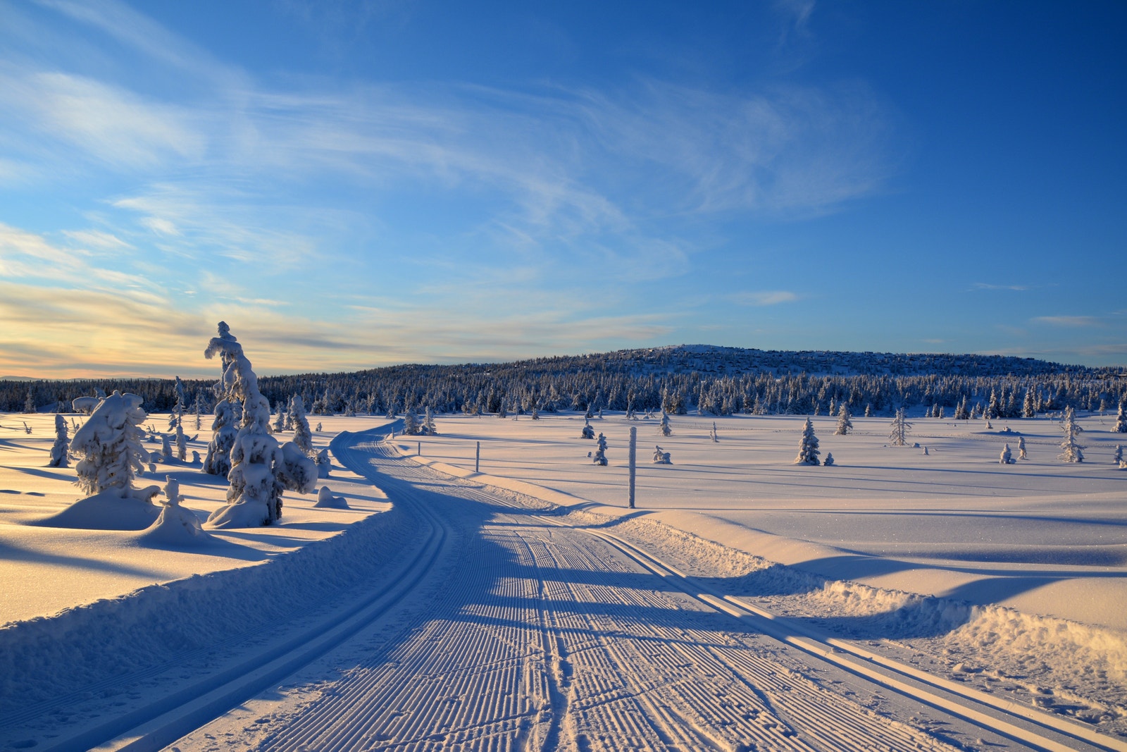 Sjusjøen byr på et fantastisk løypenettverk med de beste preparerte løypene Galleribilde