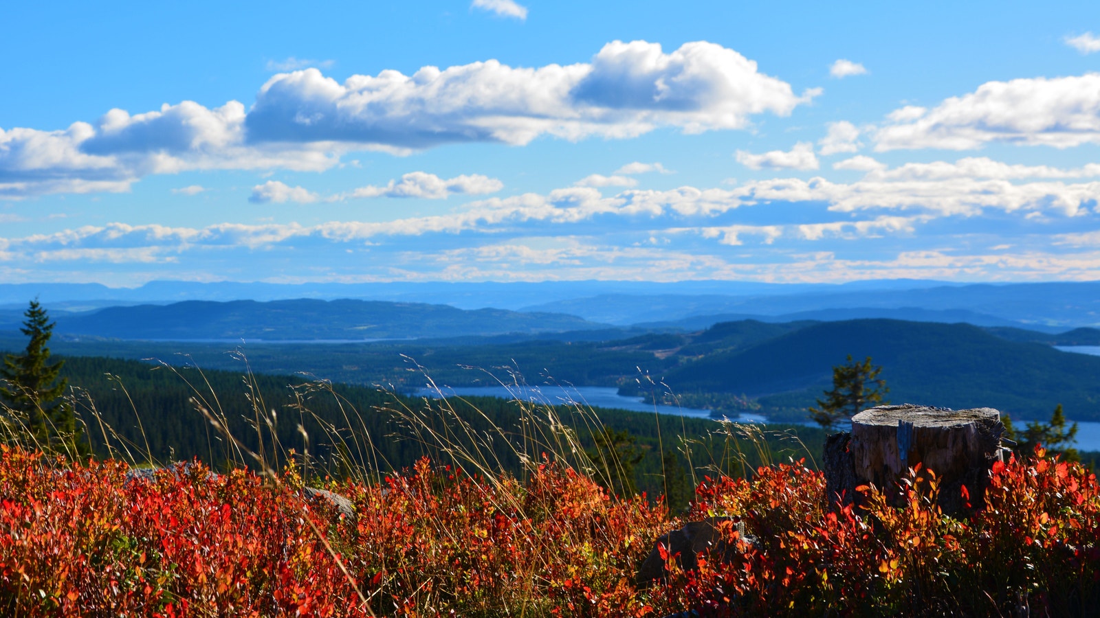 Utsyn over så mange som fire vannspeil. Næravannet, Mesnavannet, Bådshaugtjernet og Avskåkåvannet. Galleribilde