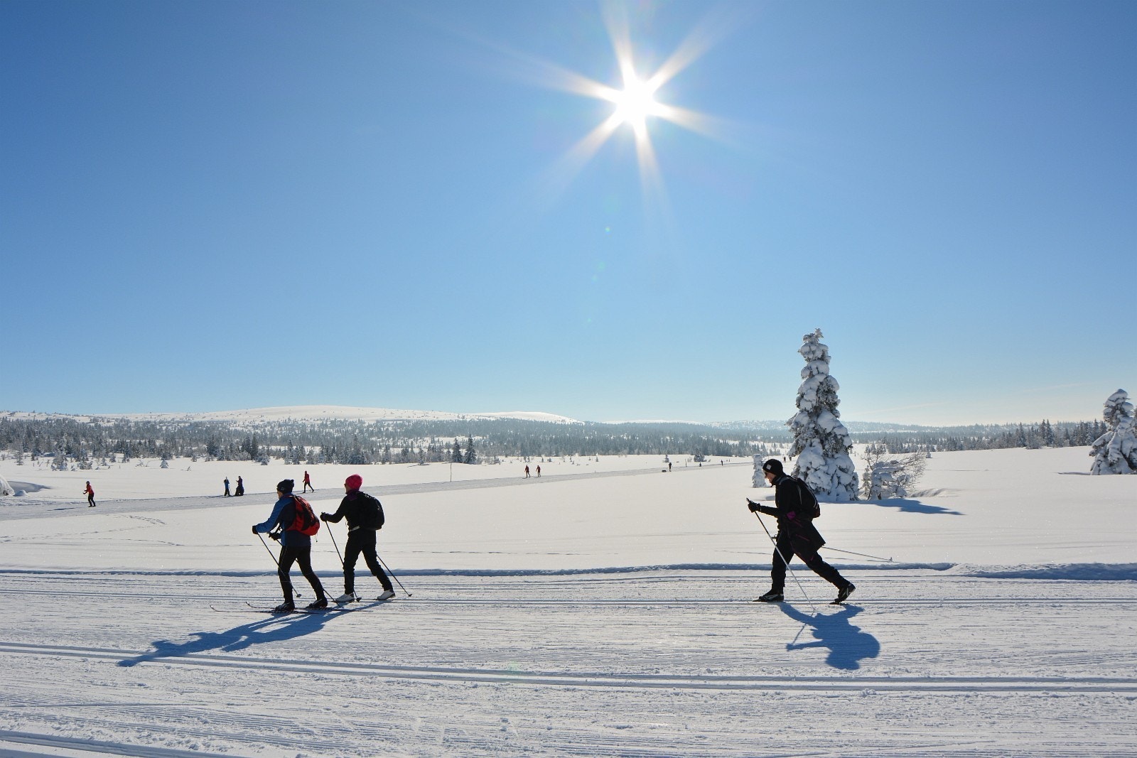 Birkebeinerløypa Galleribilde