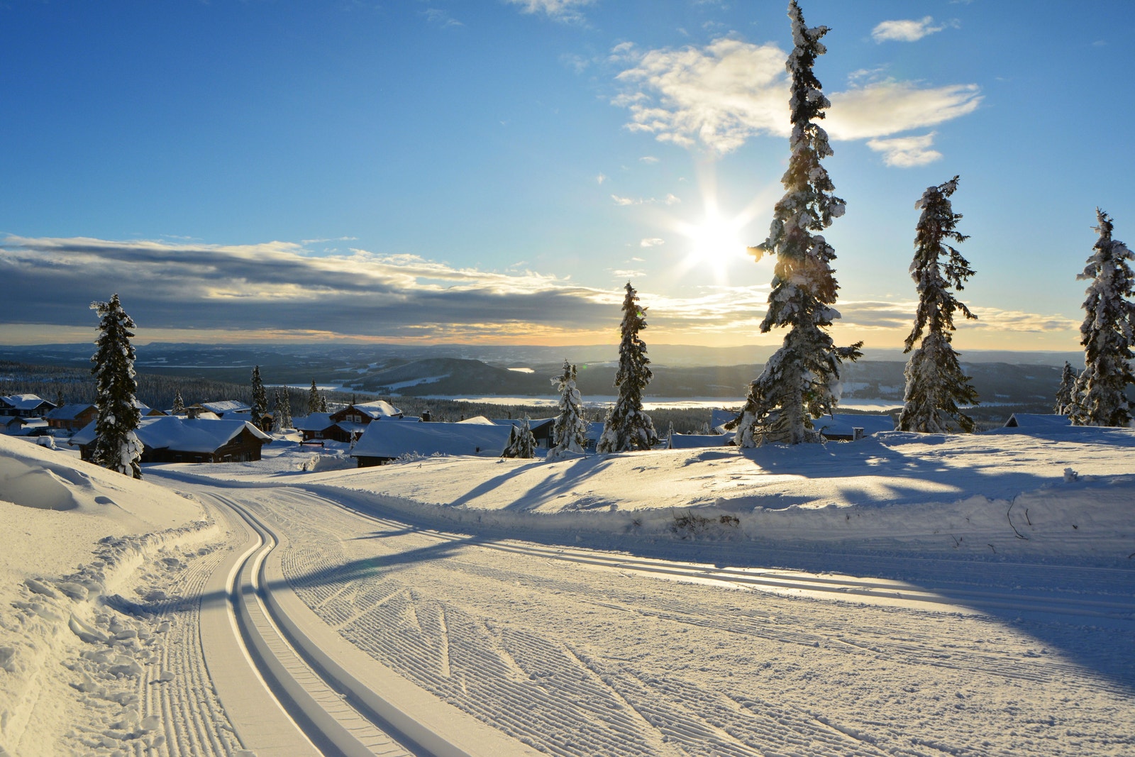 Skiløype gjennom feltet Galleribilde