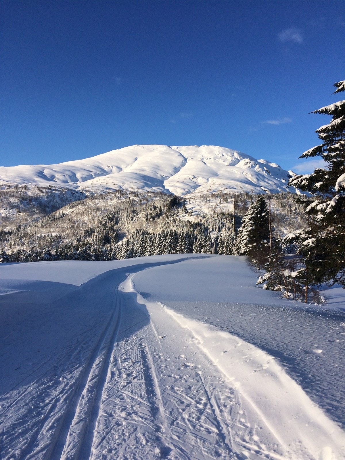 - På Sjusete er det et godt etabler løypenett om vinterene, løyepen kan også brukes til turer om sommeren - Galleribilde