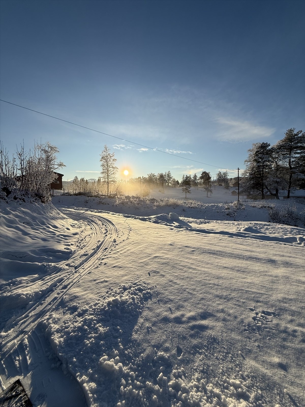 - Selgers bilde en nydelig vinterdag - Galleribilde