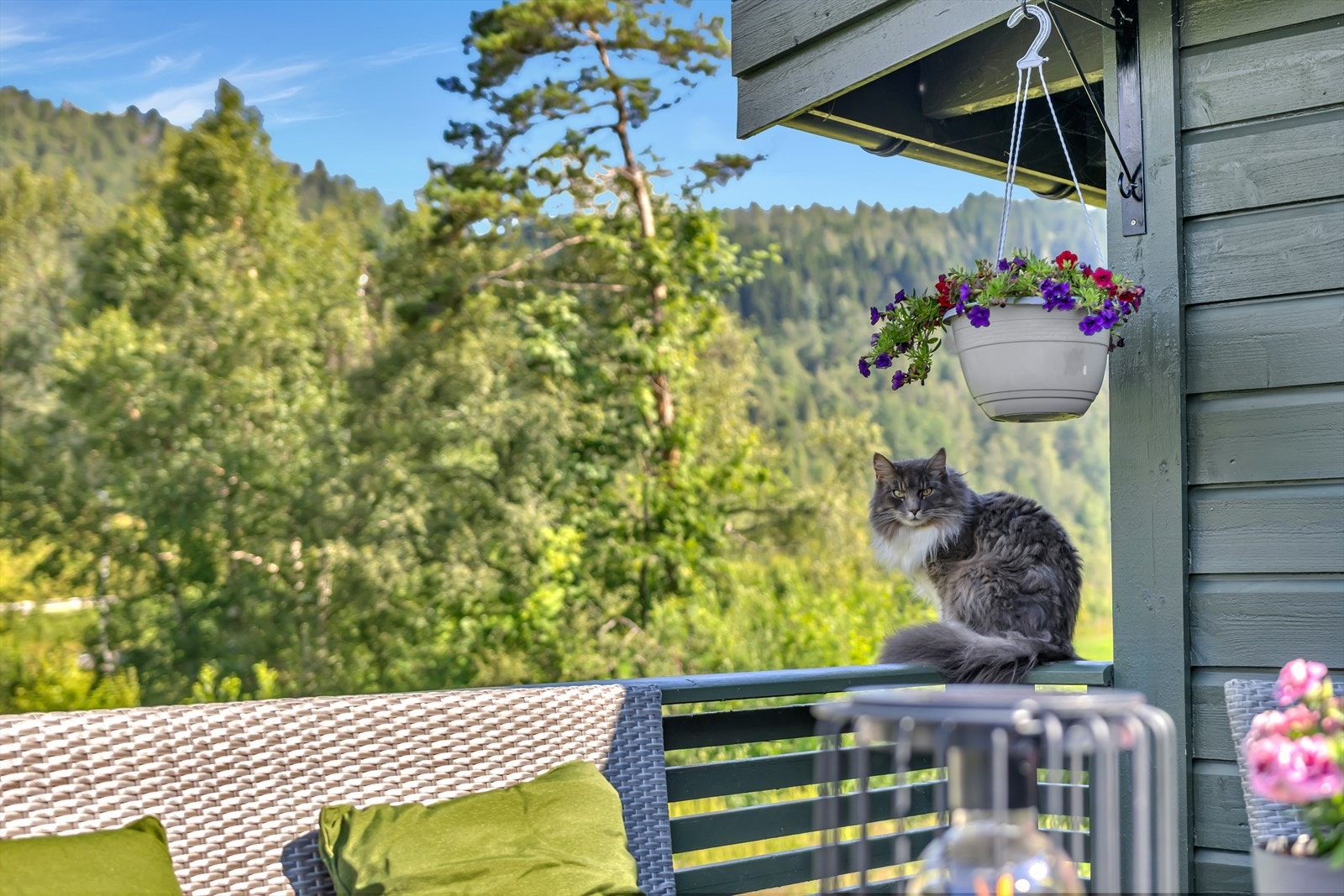 - Her vil både to- og firbeinte trives - Galleribilde