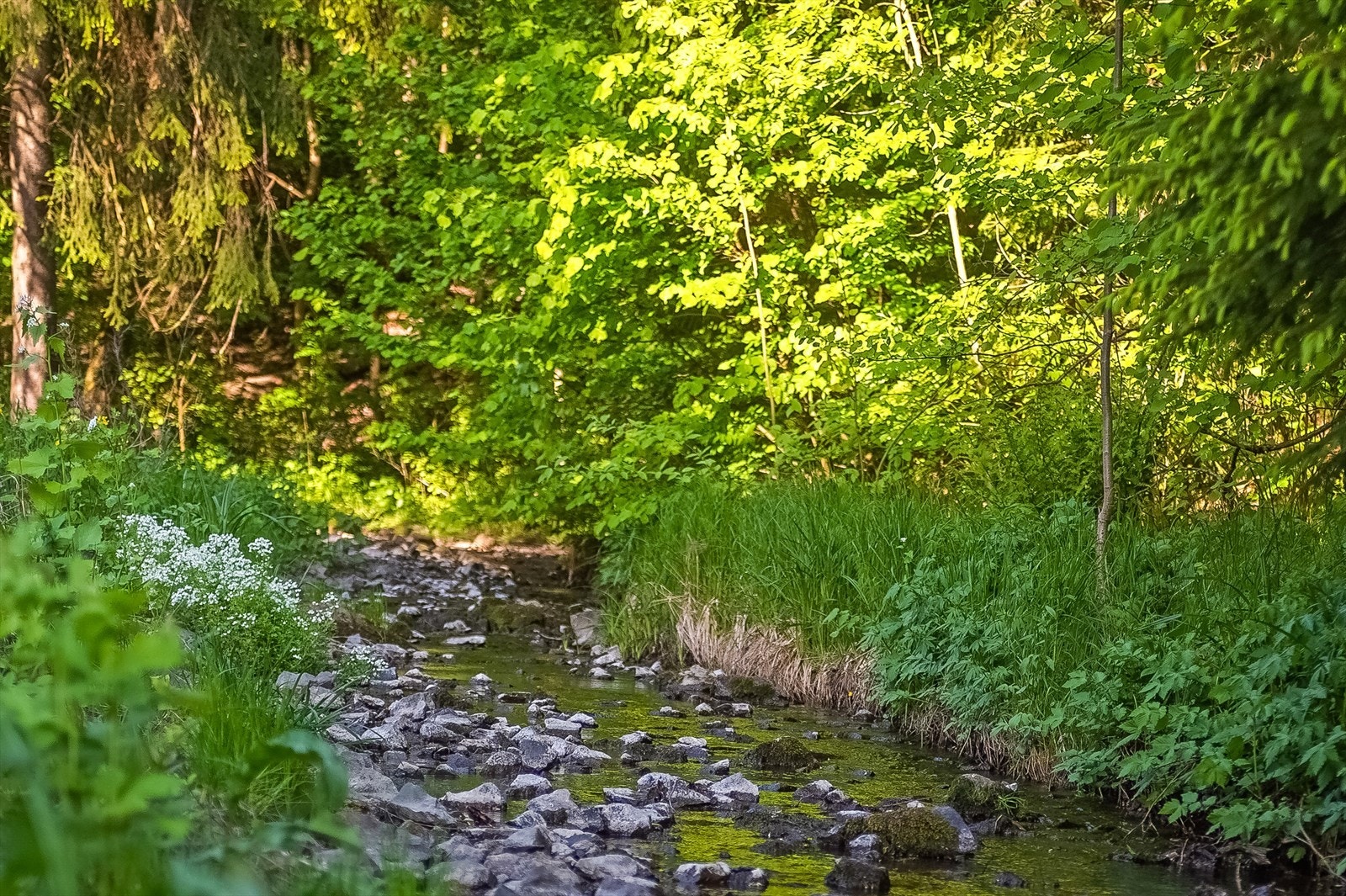 Nærheten til skog og mark gir gode turmuligheter, med en vurdering på 95 av 100 for nærhet til natur. Galleribilde