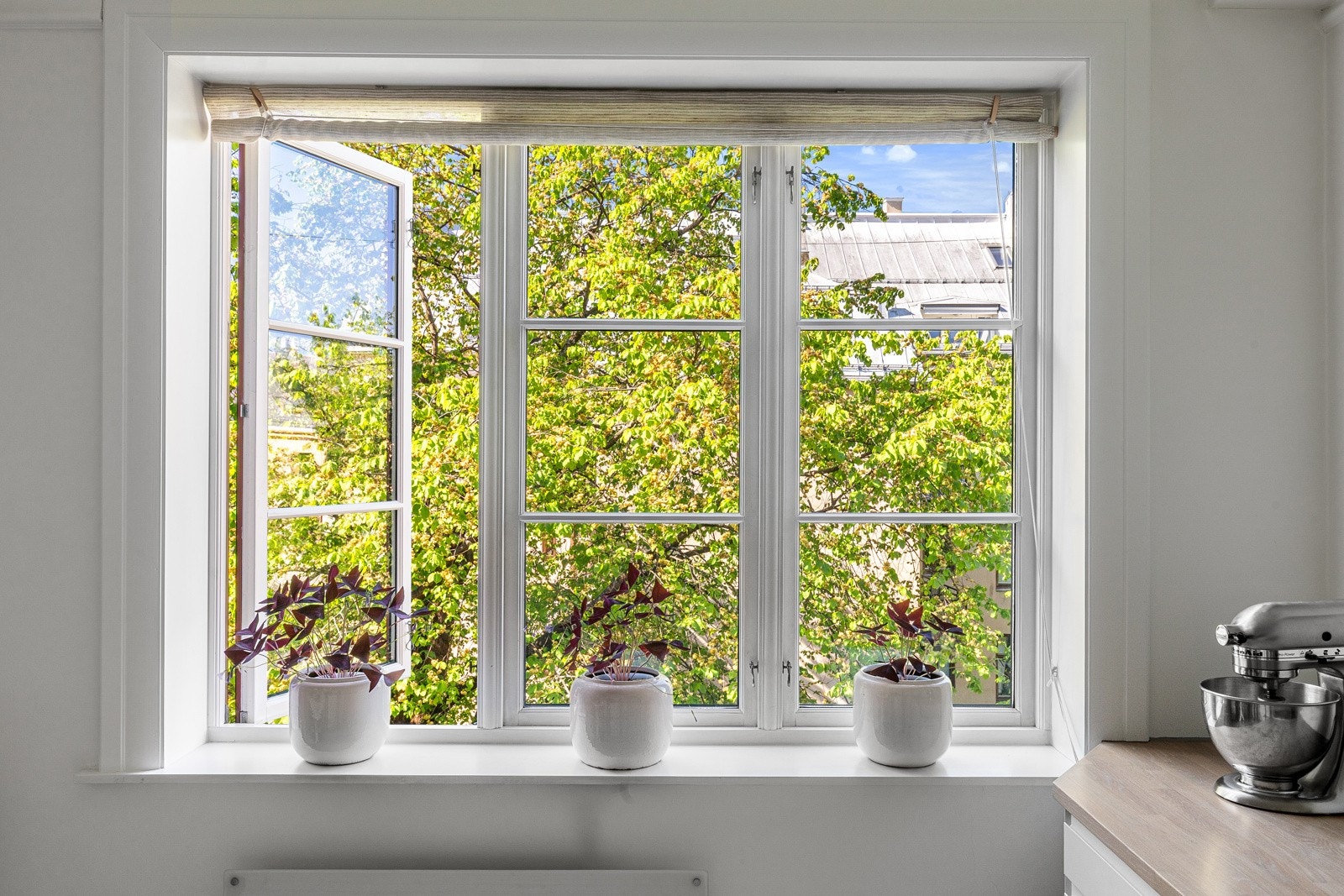 Store vinduer som gir godt lys Galleribilde