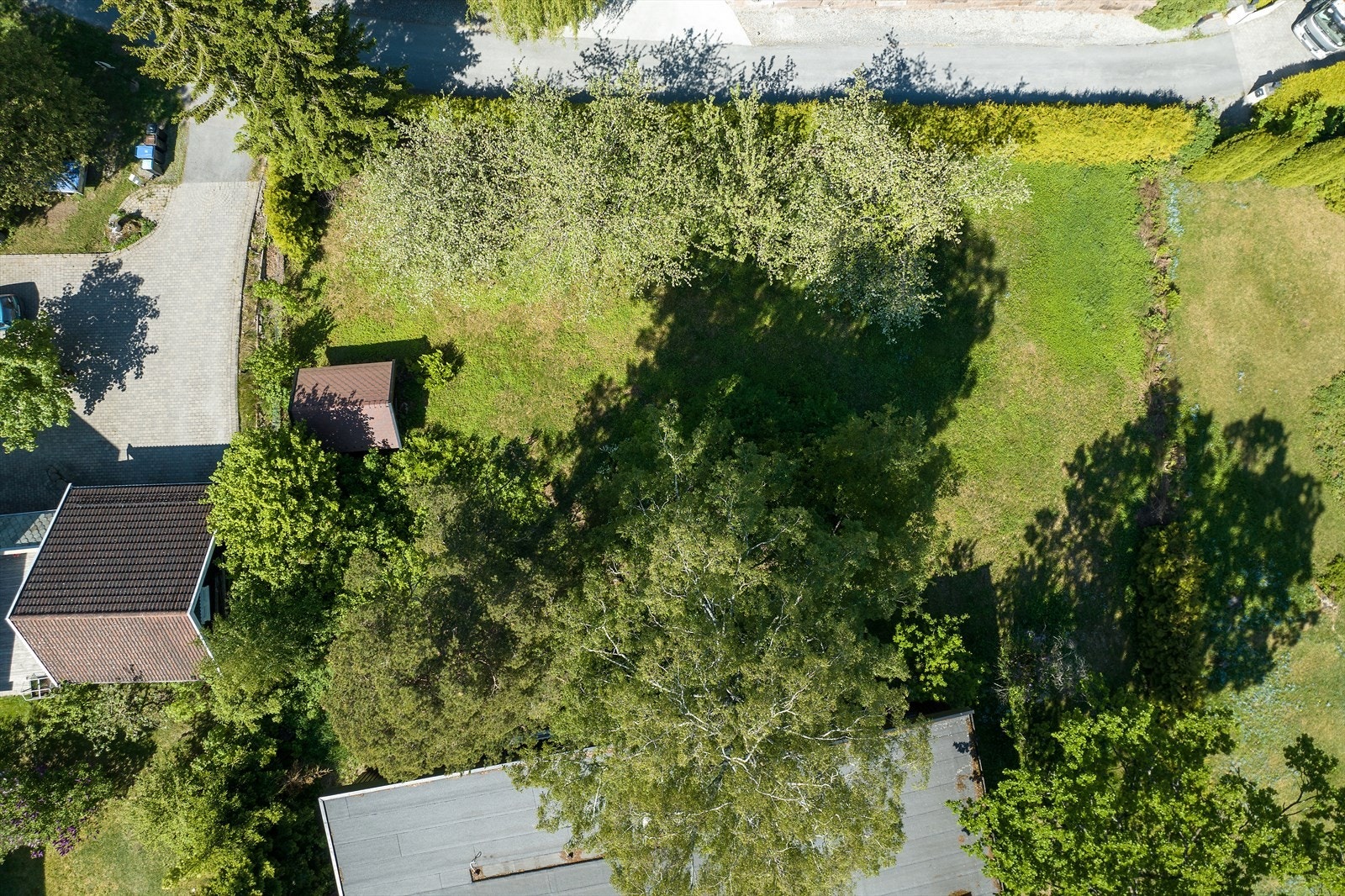 Oversiktsbilde. Galleribilde