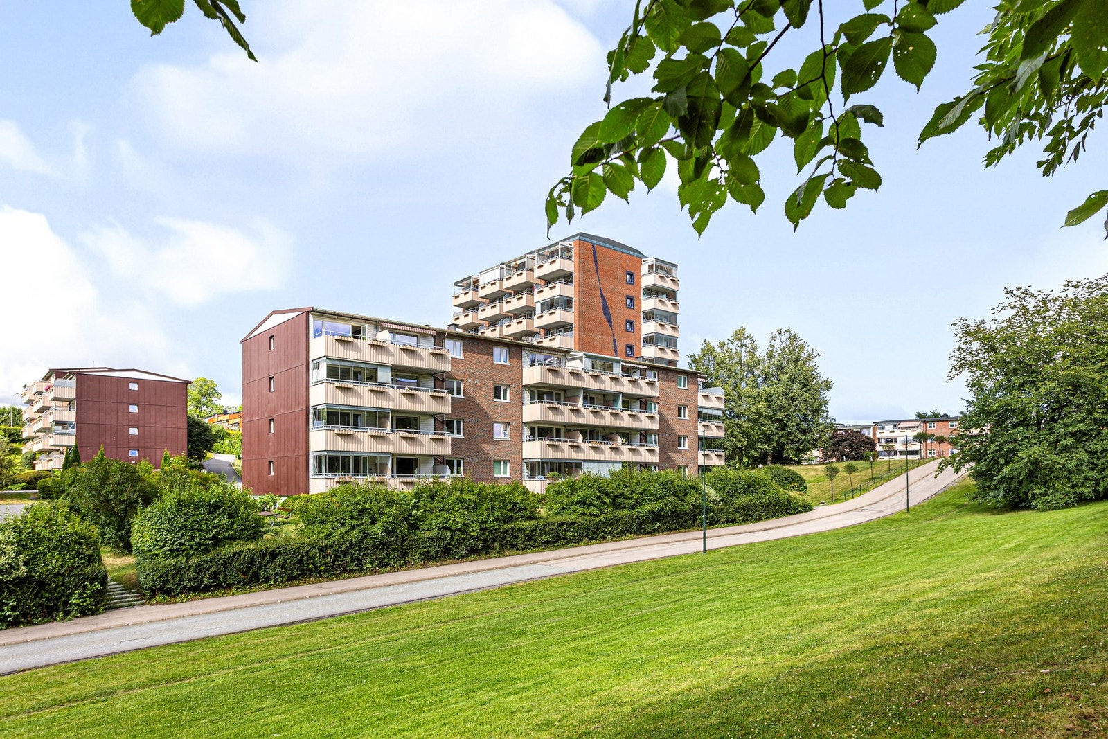 Flotte grøntområder rett utenfor døren. Galleribilde