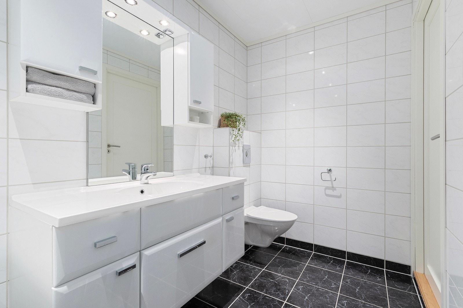 Det er også selvsagt et vegghengt toalett her. Galleribilde