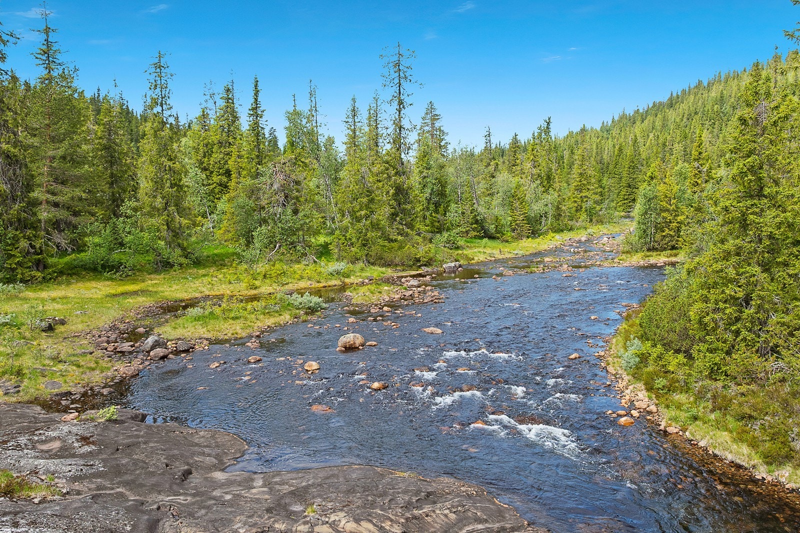 Sæbyggjeåi renner forbi, kun 60 meter unna hytta. Galleribilde