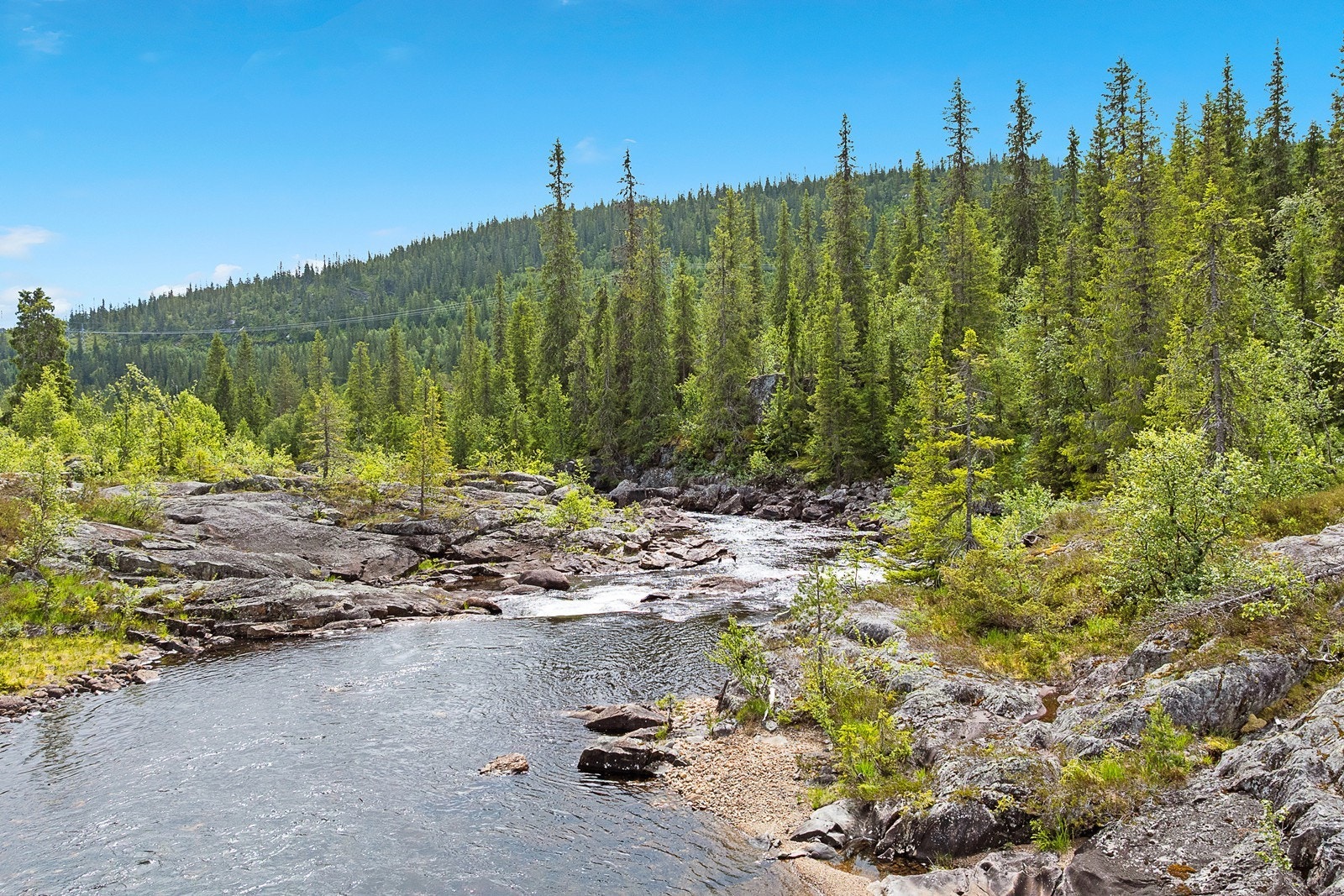 Elven renner fra vest inn i Gausbuvatn i Tokke. Galleribilde