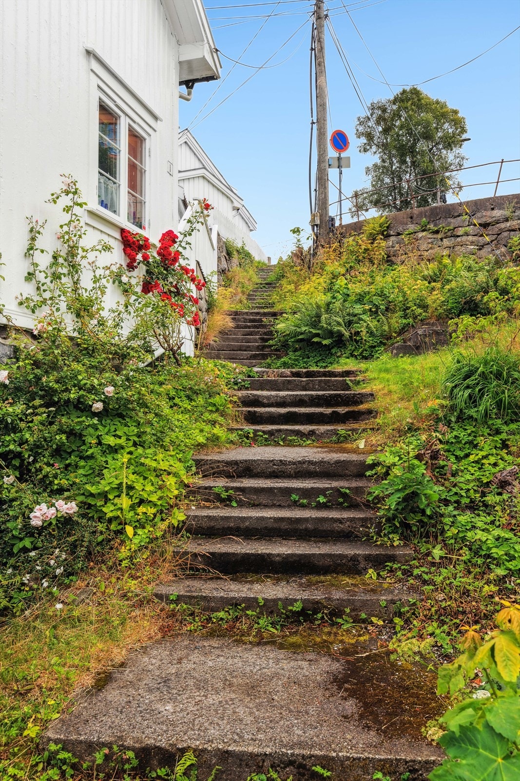 Det er et flott nabolag! Her er trappen opp til blant annet Arendal videregående skole. Galleribilde