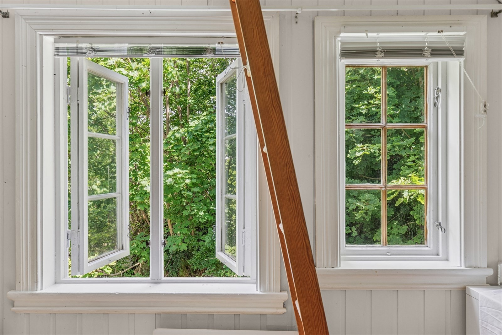 Frodig utsikt fra vinduene. Galleribilde