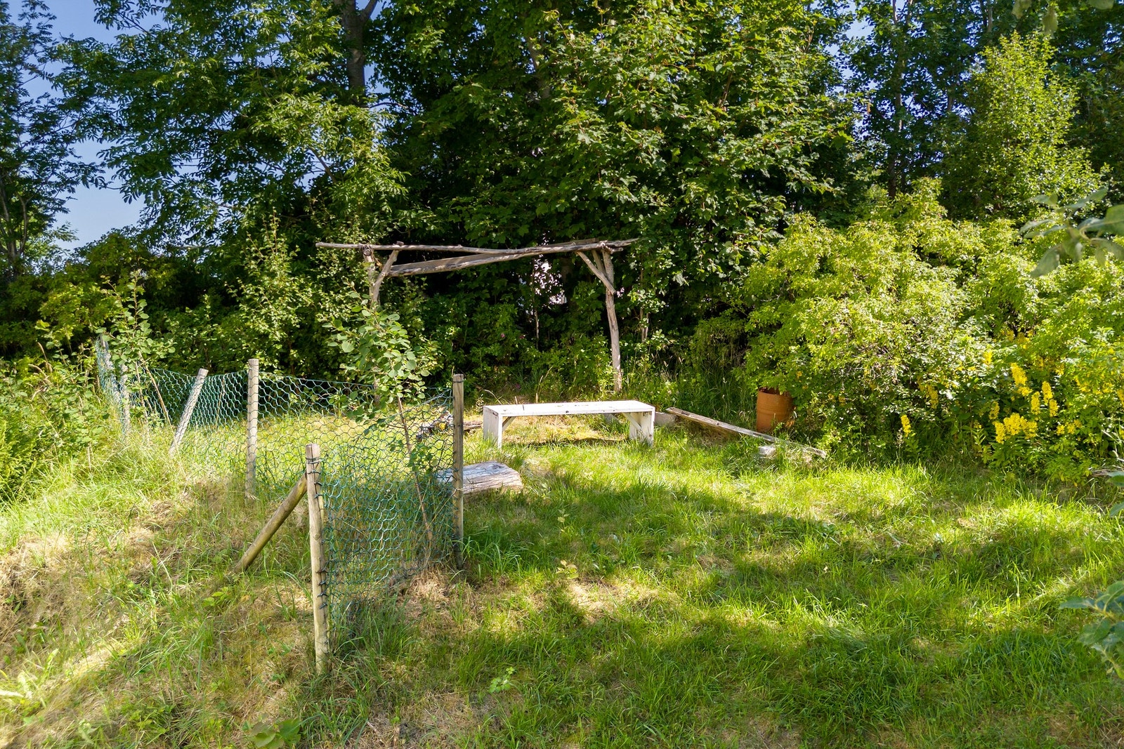 Grøntområde på felles tomt med mye potensiale! Galleribilde