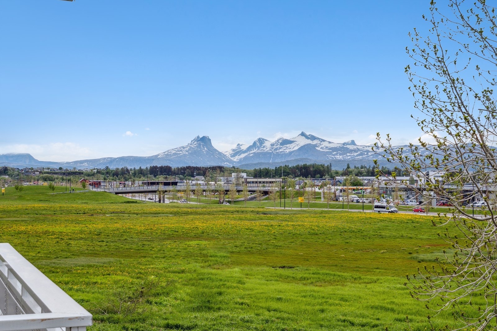 Flott utsikt over Thalleåkeren og Stormyra med Børvasstindan i bakgrunnen (det gjøres oppmerksom på at det er planlagt ny fotballstadion m/treningsbane på åkeren foran) Galleribilde