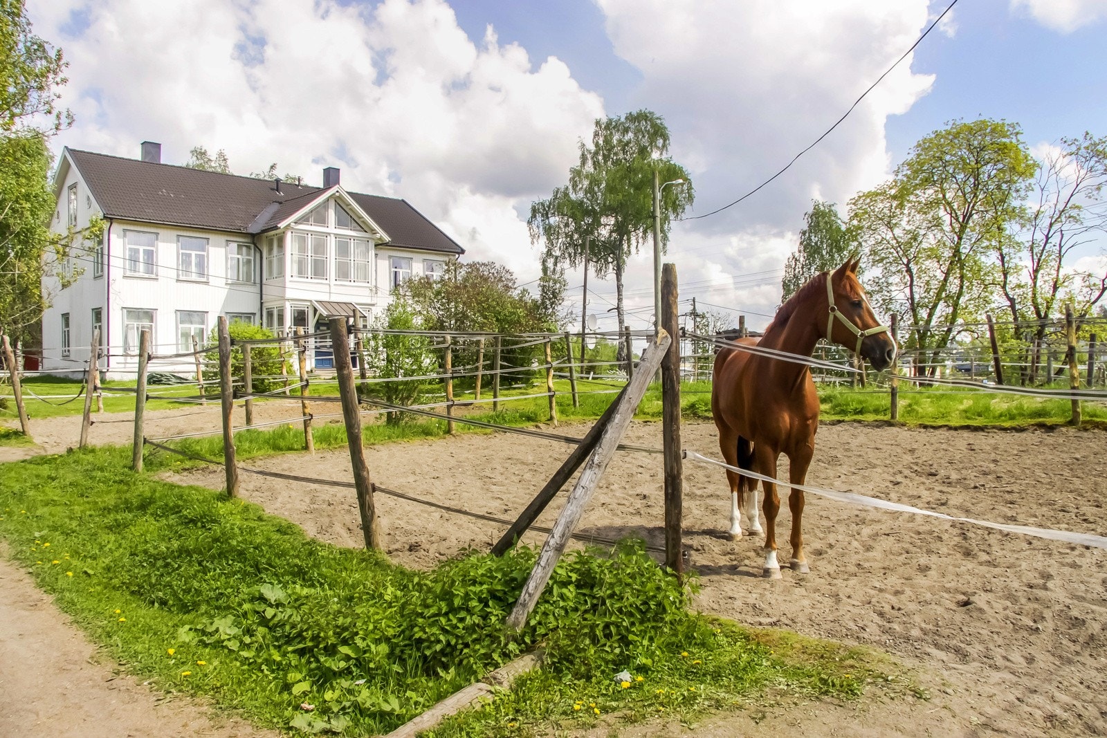 Ta søndagsturen til Ellingsrud gård Galleribilde