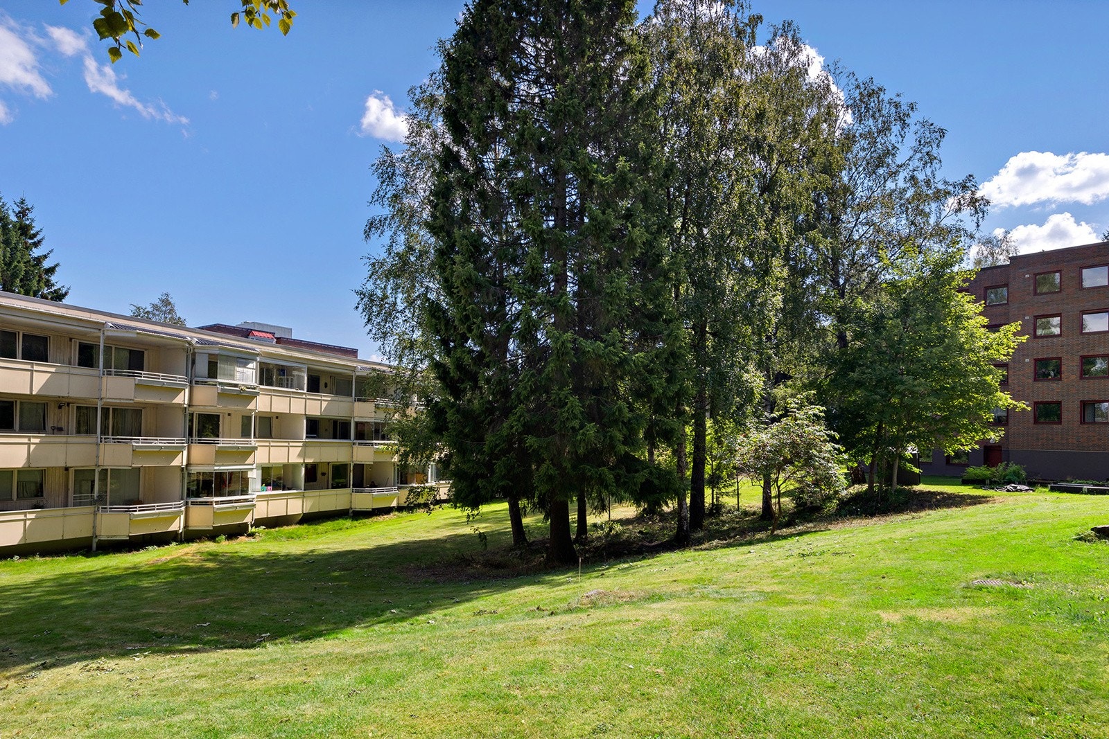 Grønne parmessige fellesarealer Galleribilde