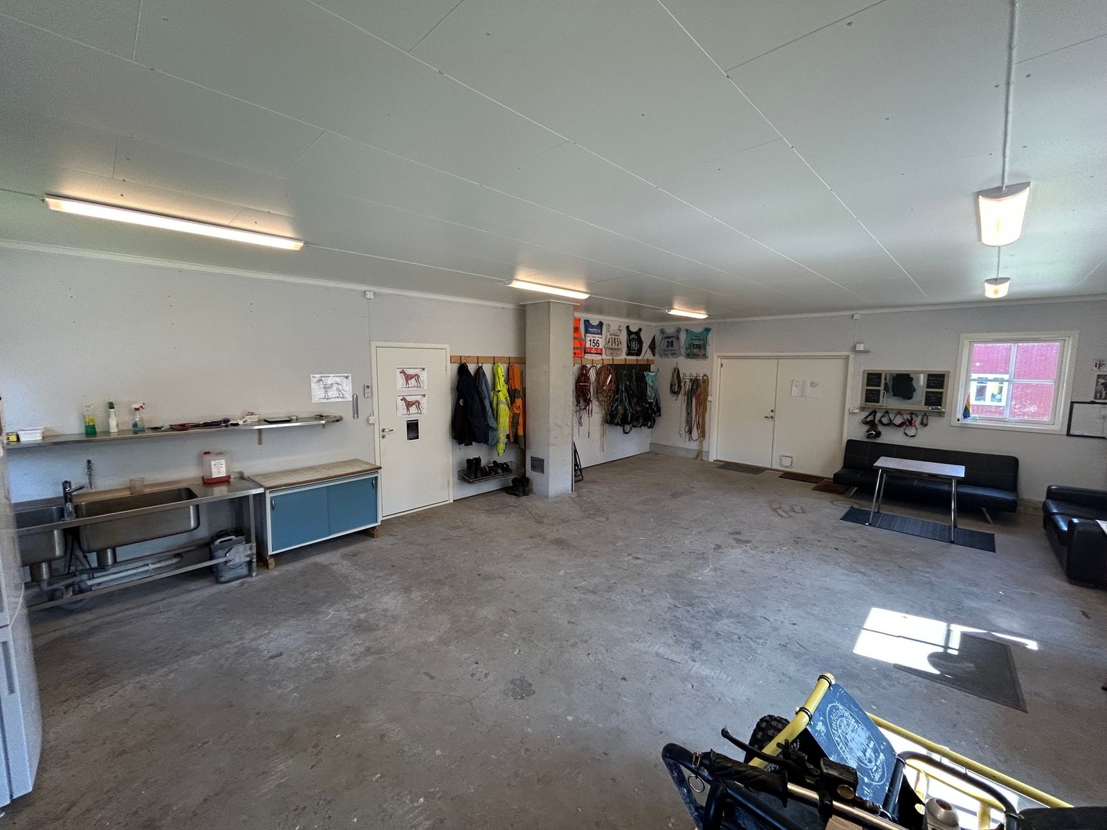 Uthus- hunderom Galleribilde