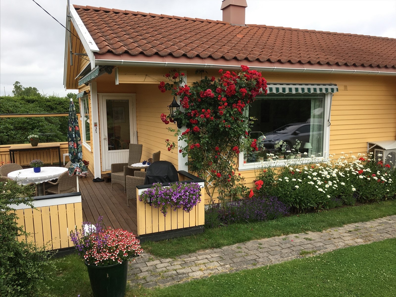 Selgers private bilde. Galleribilde