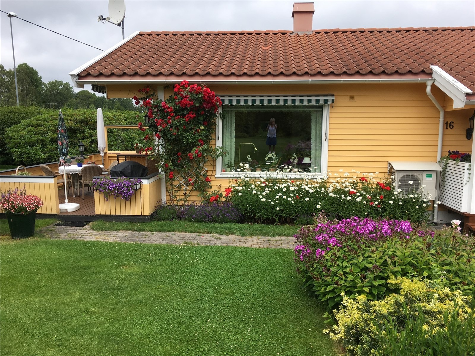På sommerstid blomstrer hagen for fullt i alle regnbuens farger. Selgers private bilde. Galleribilde