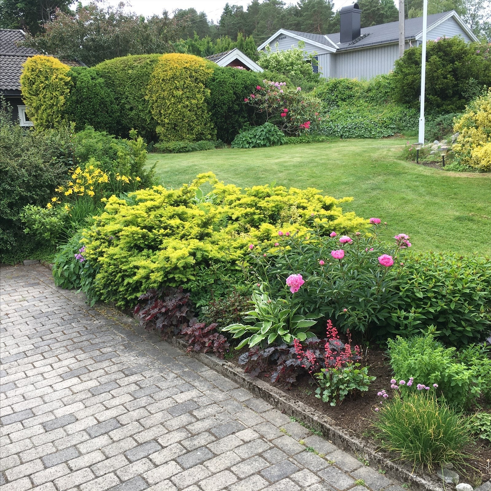 Selgers private bilde. Galleribilde