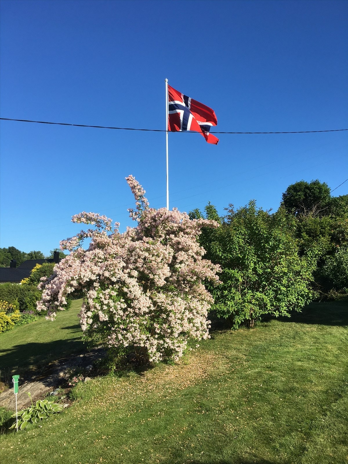 Selgers private bilde. Galleribilde