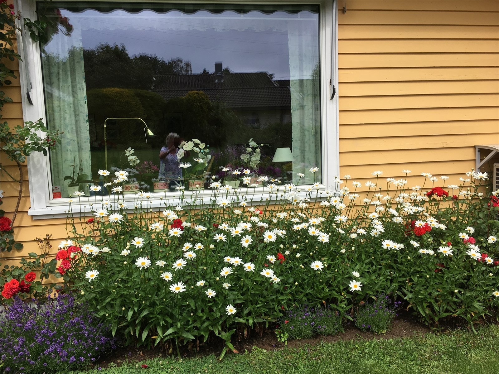 Selgers private bilde. Galleribilde