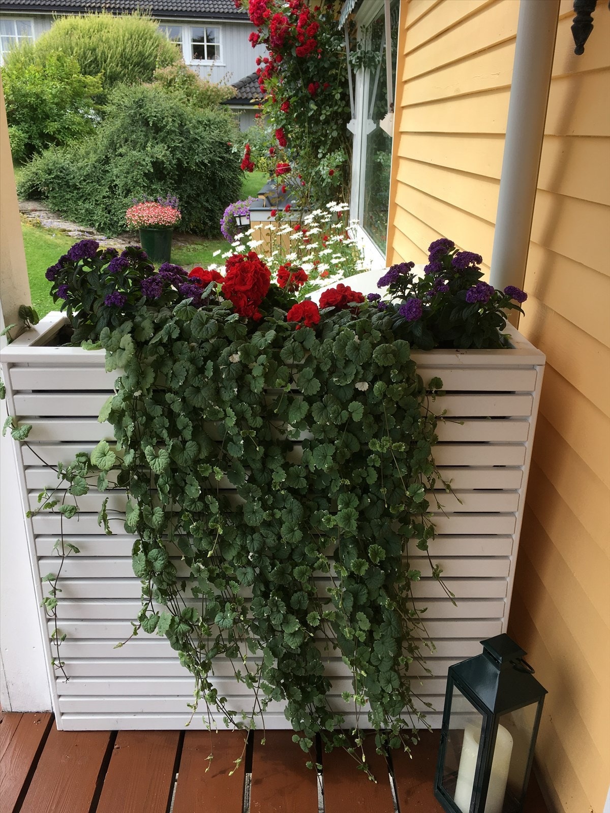 Selgers private bilde. Galleribilde