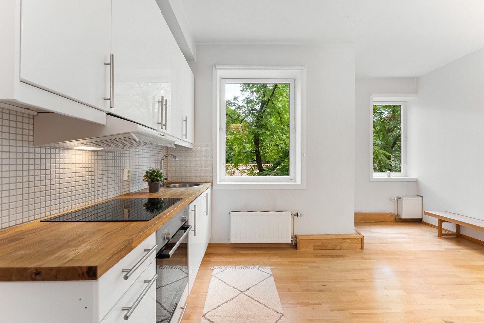 Hele leilighenten vender mot frodig og rolig bakgård Galleribilde