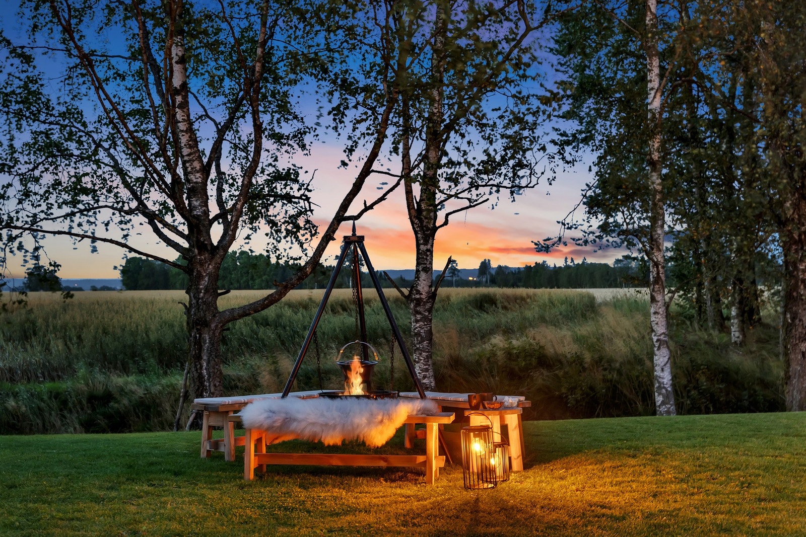Flere flotte soner på tomten Galleribilde