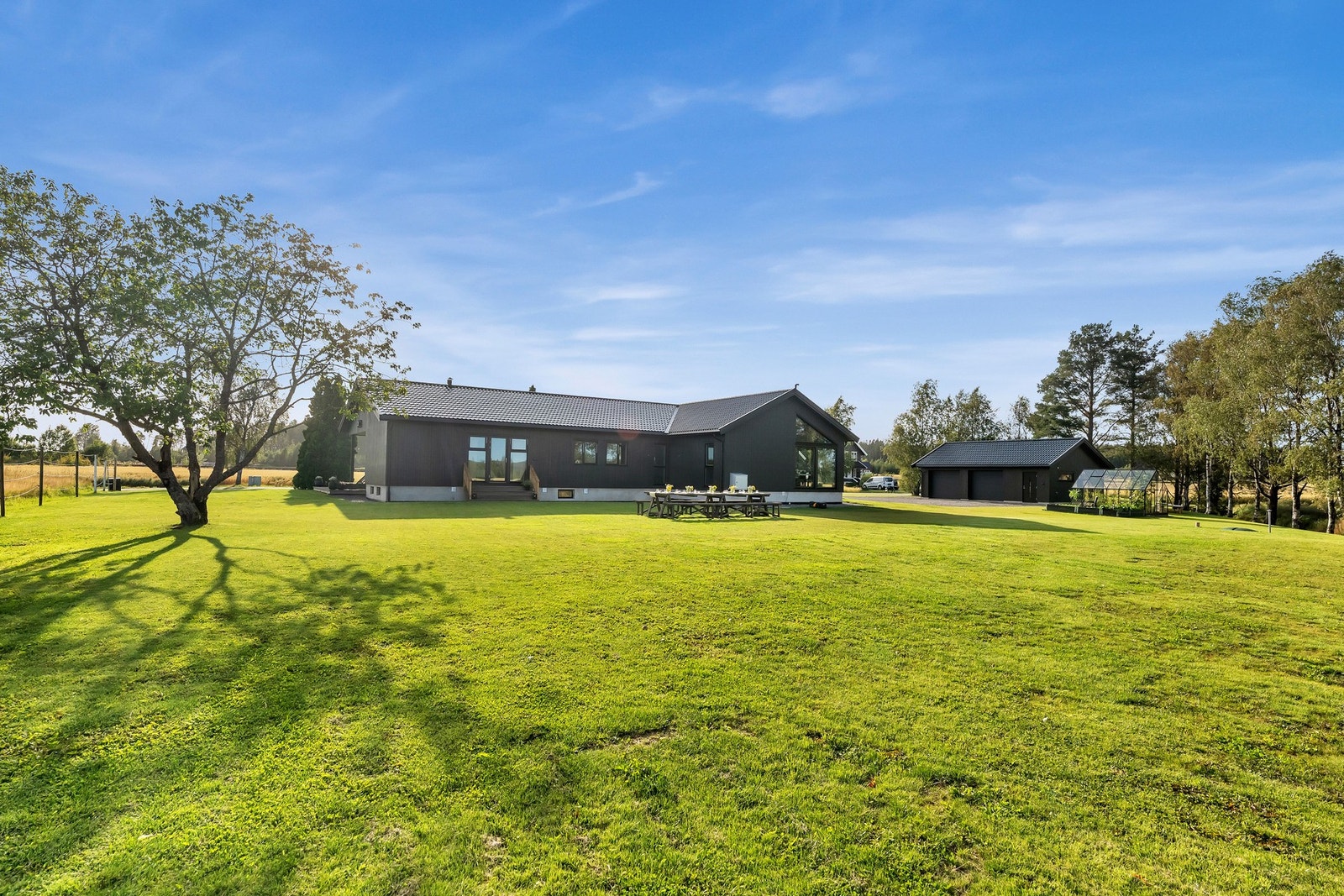 Stor gressplen med mange muligheter Galleribilde