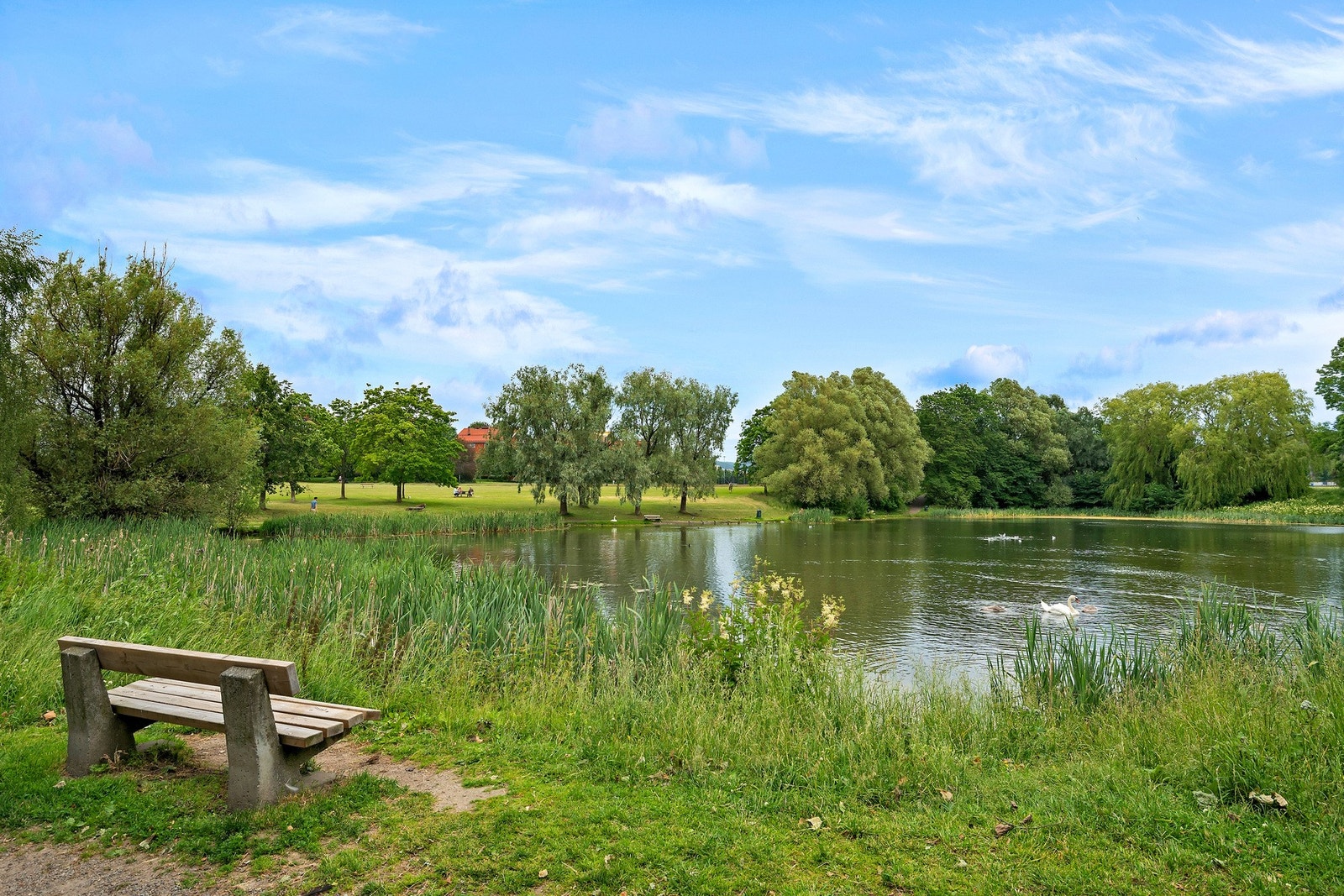 Hovindammen Galleribilde