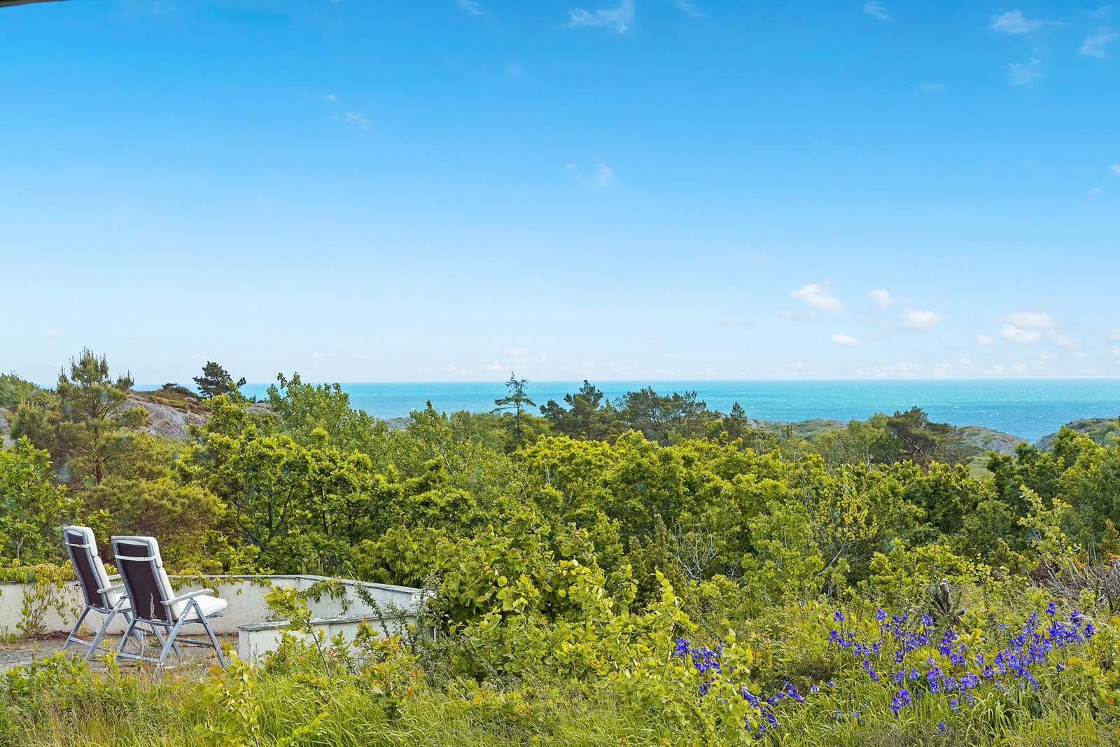 Tomten har gode solforhold og flott sjøutsikt Galleribilde