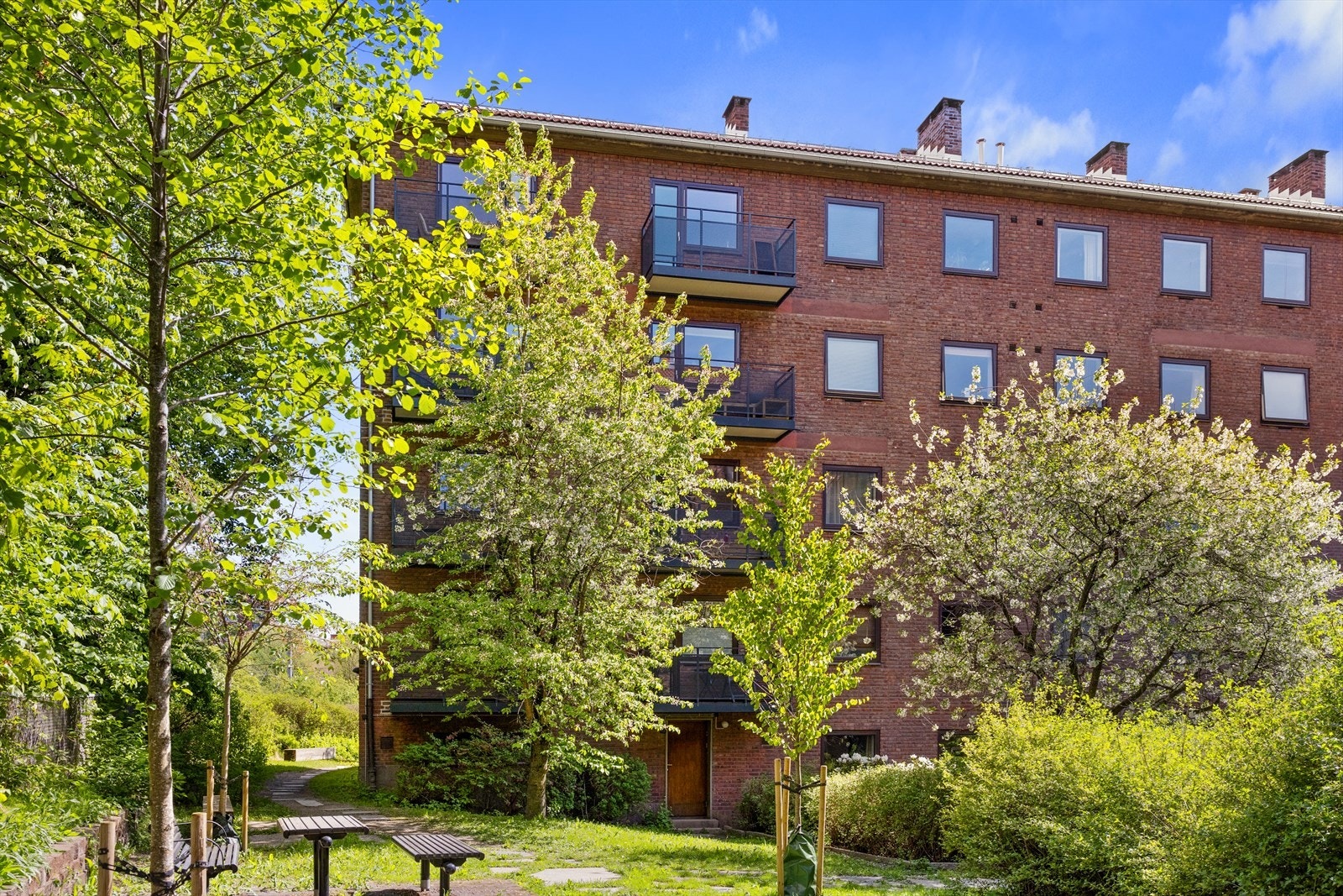 Trasoppløkka 3 borettslag består av 95 andelsleiligheter. Galleribilde