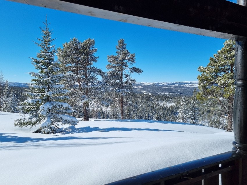 Vinter - Utsikt fra verandaen. Galleribilde