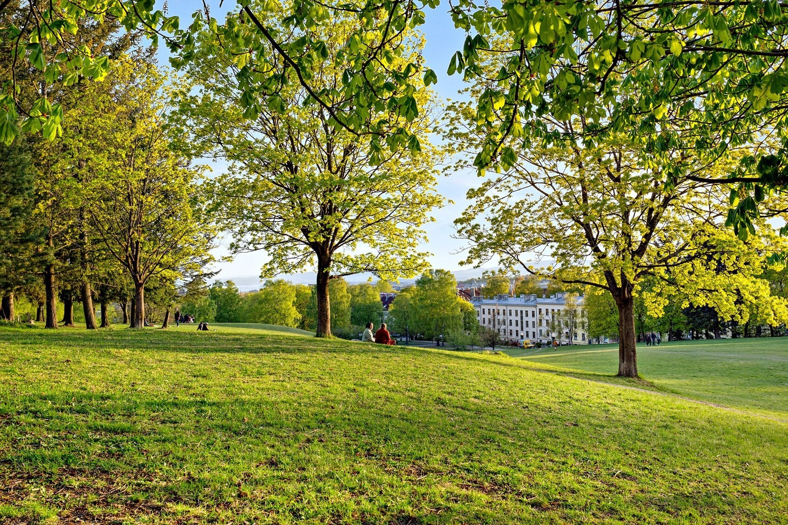 Torshovdalen byr på store gressplener, lekeplass og flott utsikt over sentrum. Fine muligheter for aking, ski og skøytebane om vinteren. Galleribilde