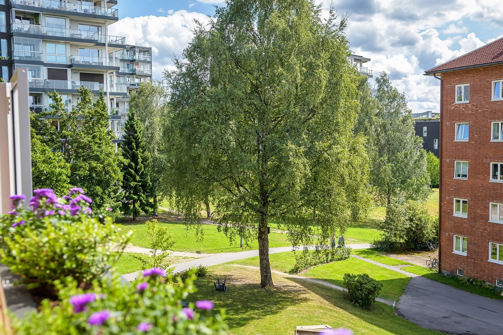 Nydelig utsikt Galleribilde