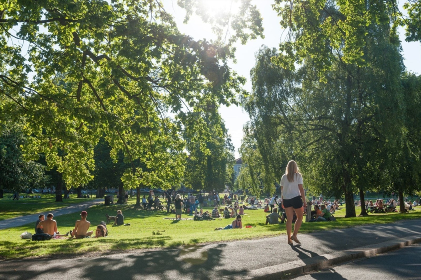Blant parker i nærområdet har du blant annet Sofienbergparken med musikk, arrangementer og god stemning gjennom sommerhalvåret. Galleribilde