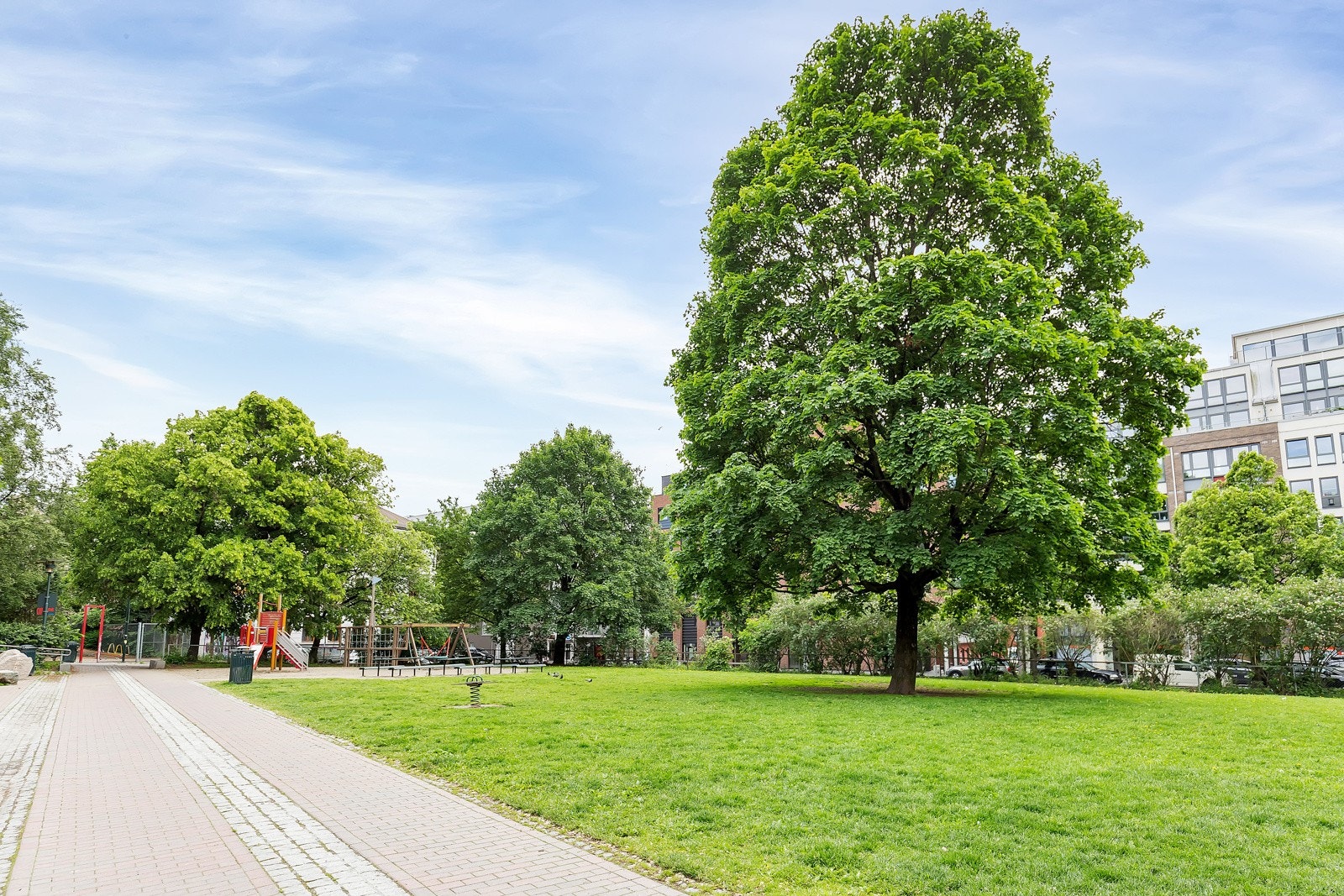 Klosterenga park. Galleribilde