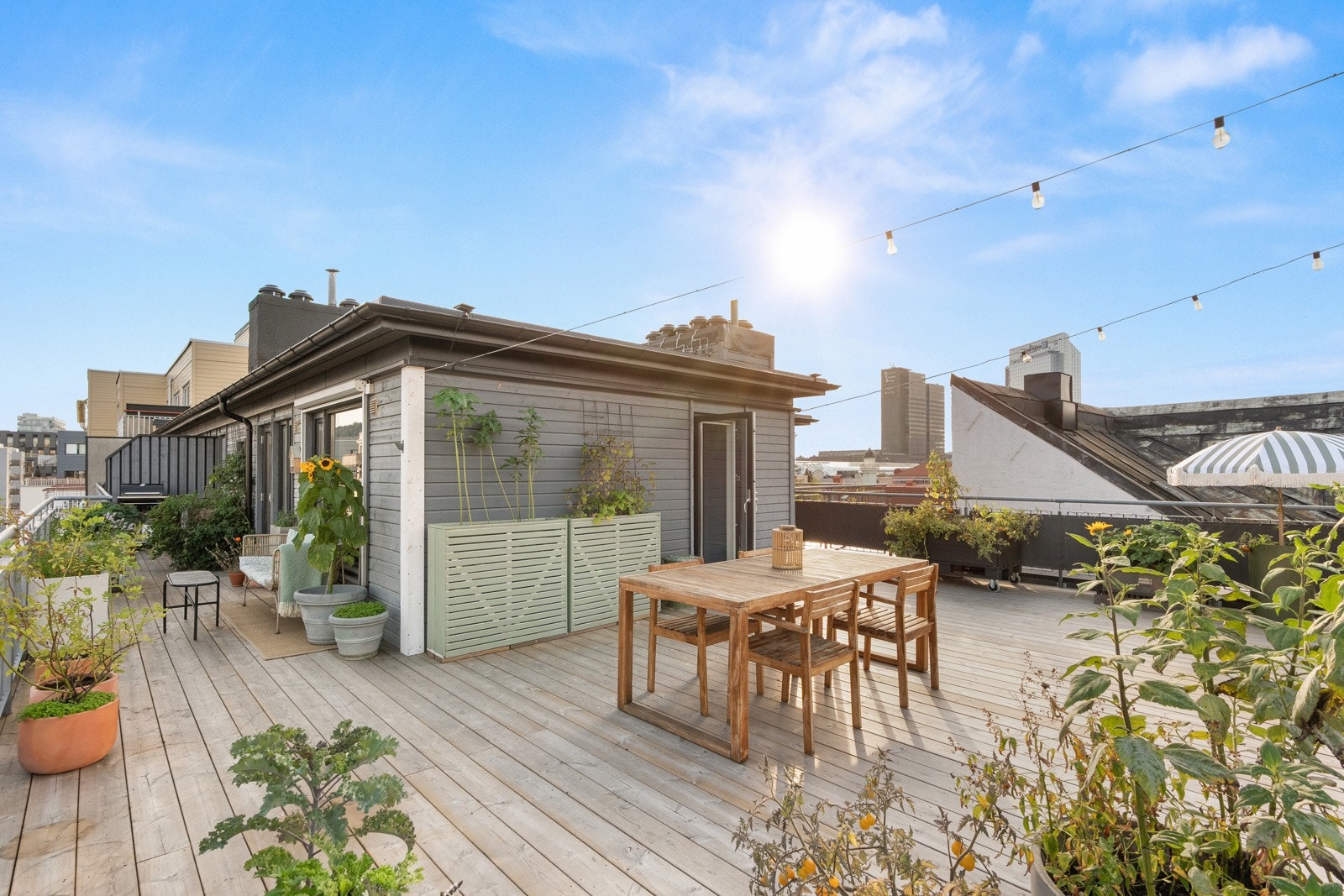 Takterrassen har stort potensial for frodig beplantning og personlig preg. Galleribilde