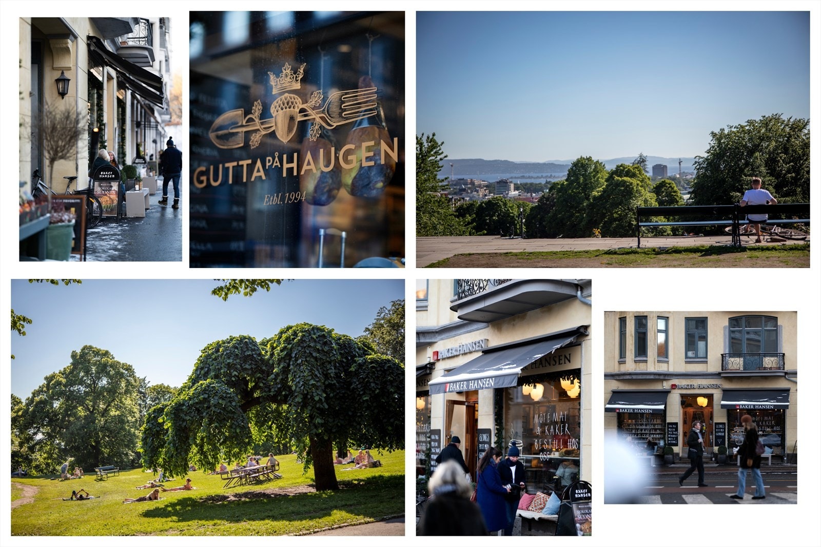 St.hanshaugen som nærmeste nabo Galleribilde