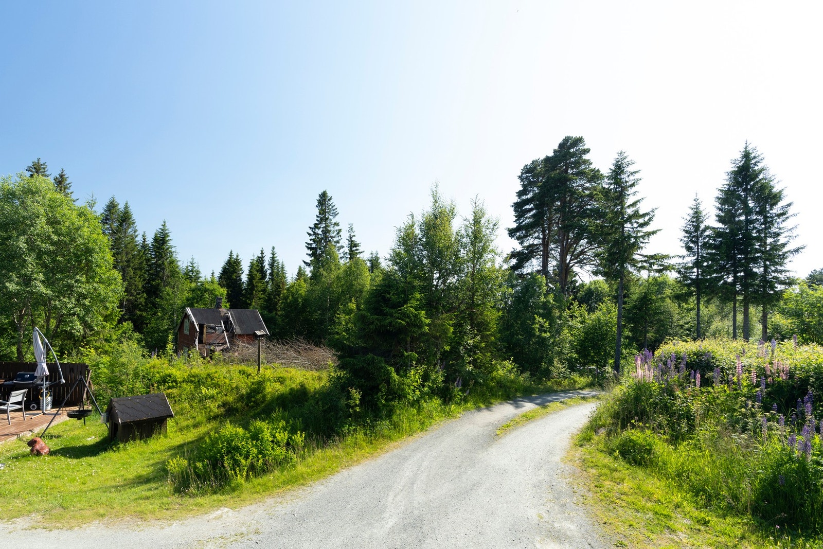 Stor og skjermet tomt med naturskjønne omgivelser - perfekt for deg som ønsker ro og nærhet til marka. Galleribilde