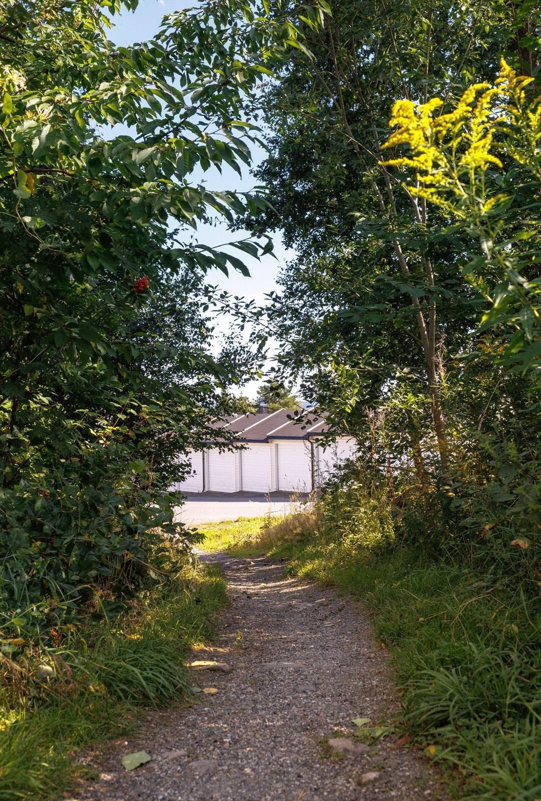 Perfekt for friluftsliv - flotte turmuligheter i skog og mark rett utenfor døren. Galleribilde
