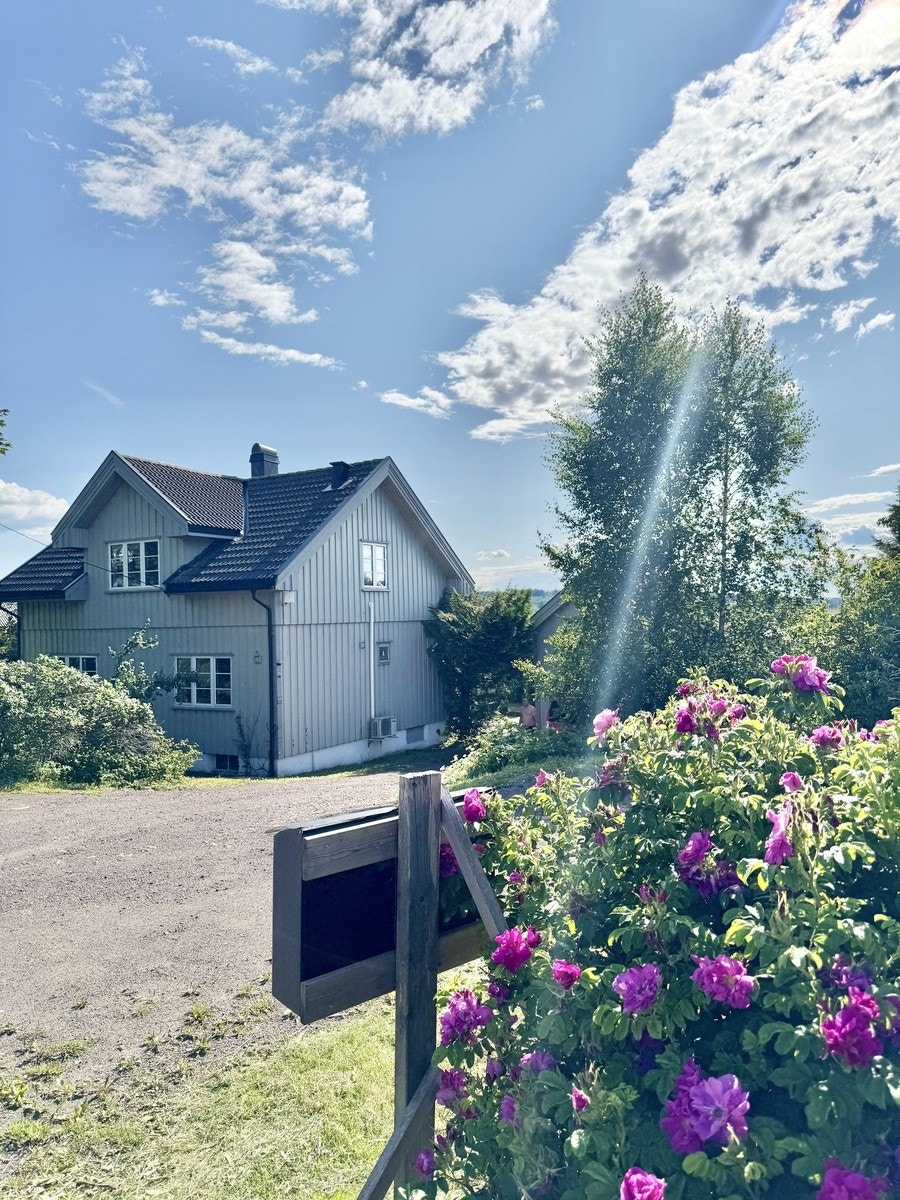 Bilde tatt fra innkjørsel. Godt med parkering. Også parkering på andre siden av gaten. Bussholdeplass til universitetet like ved. Eller fine blomster og bed rundt om på eiendommen. Galleribilde