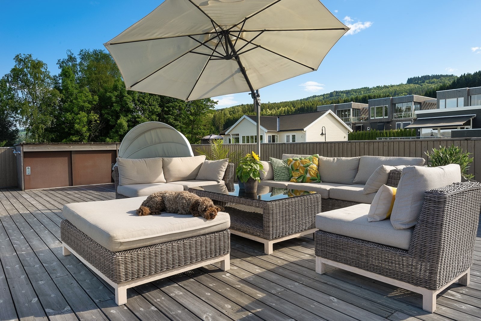 Slappe av i sola. Galleribilde