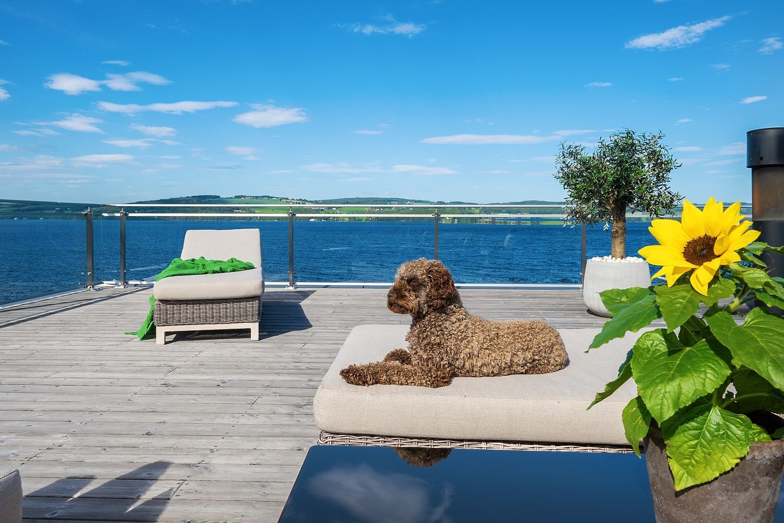 Et sted å trives. Galleribilde