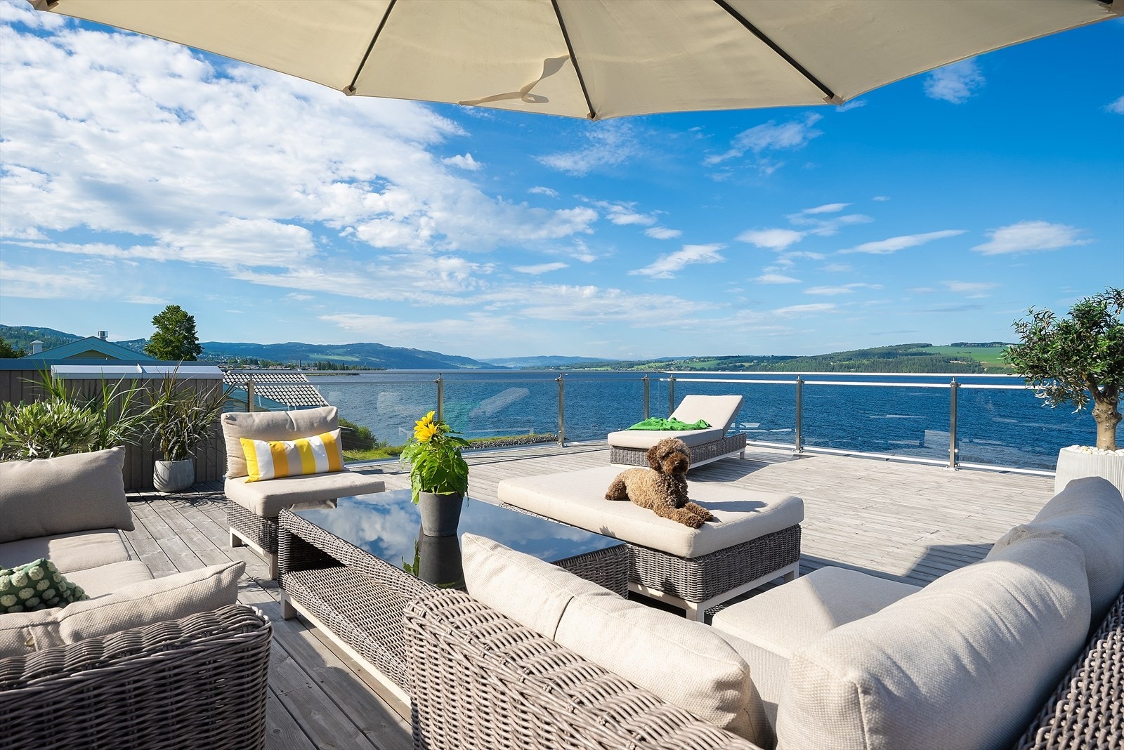 På toppen for seg selv. Galleribilde