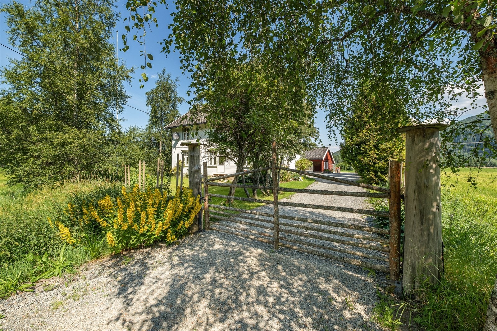 Takk for besøket! Galleribilde