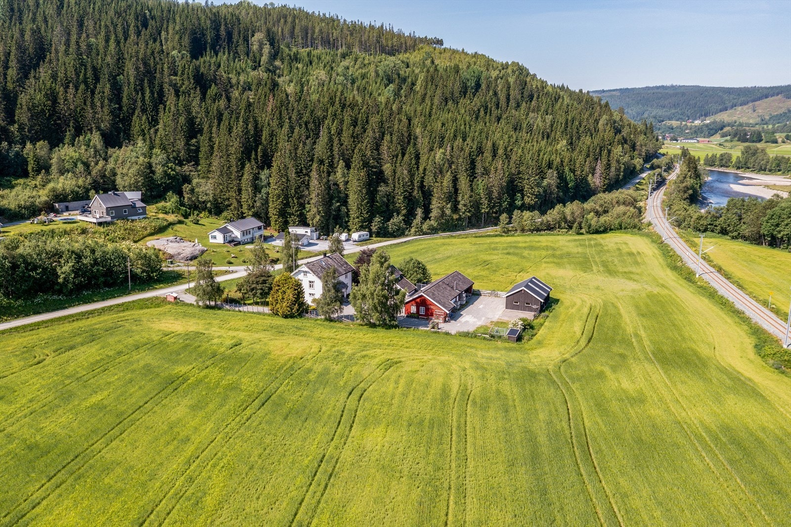 100,8 daa med produktiv skog Galleribilde