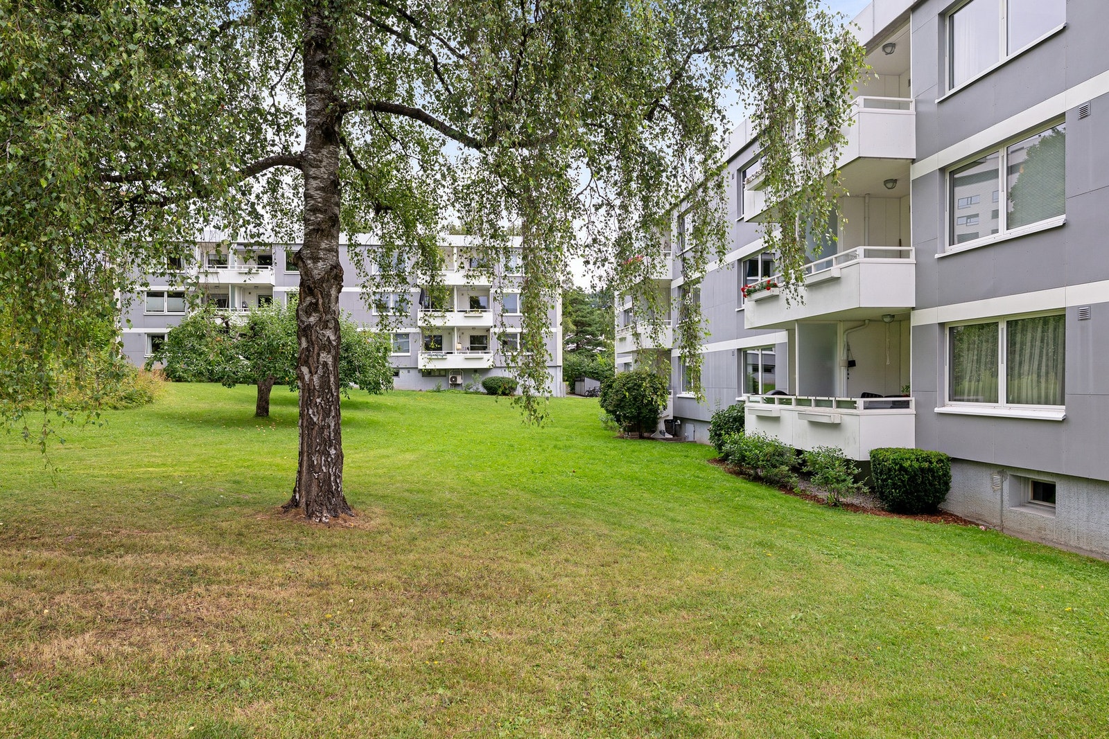 På Holmen kombinerer du grønne og rolige omgivelser med nærhet til sentrum og et bredt servicetilbud. Galleribilde